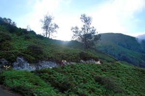 The trail leading to Ijen crater—Caroline Helbig