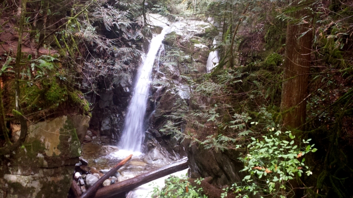 One of the beautiful waterfalls at Cypress Park Falls from the east side of creek—C.Helbig